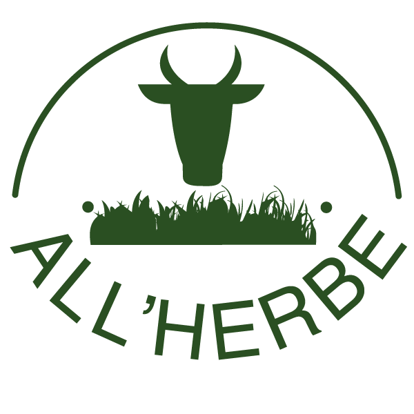 logo dark
