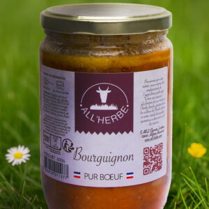 Bourgignon pur boeuf